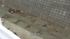 241011 NOWレポート 令和元年東日本台風災害から5年 被災地のいま【常和】